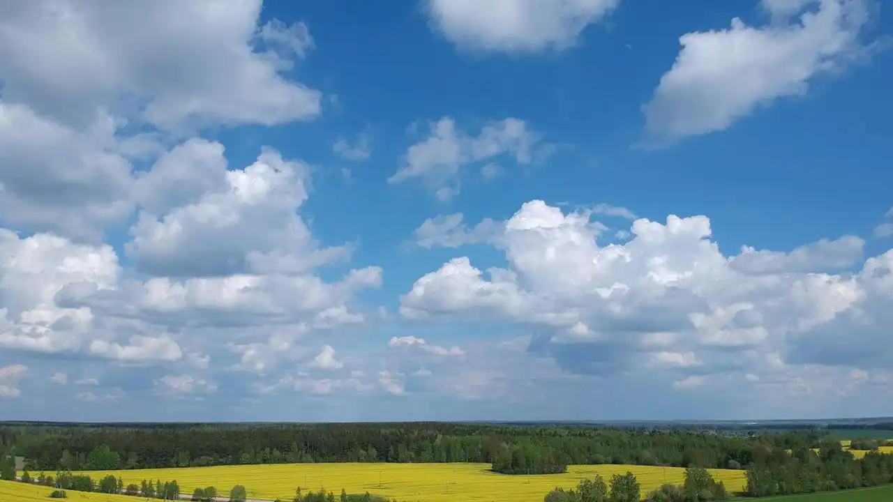 Essential Lithuanian Vocabulary For Family And Relatives