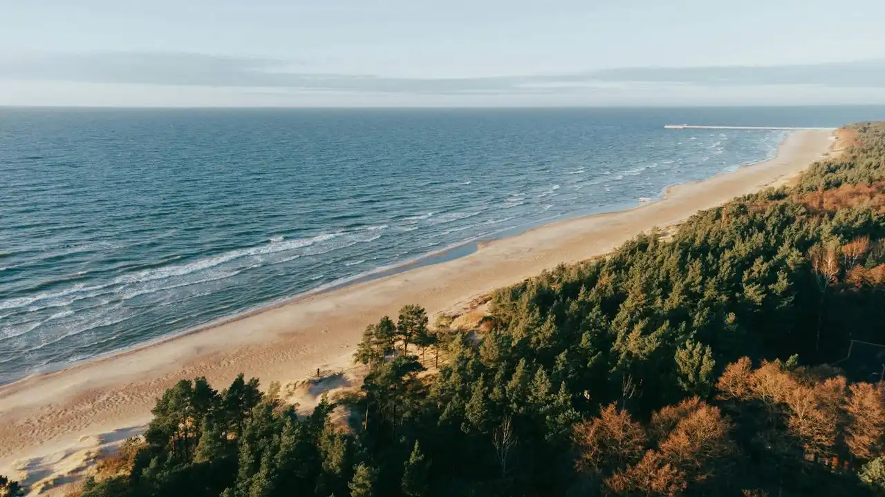 7 Reasons To Learn Lithuanian Today